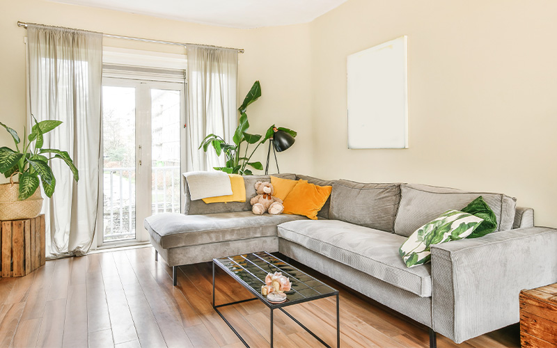 Bright modern living room with grey sectional and plants.